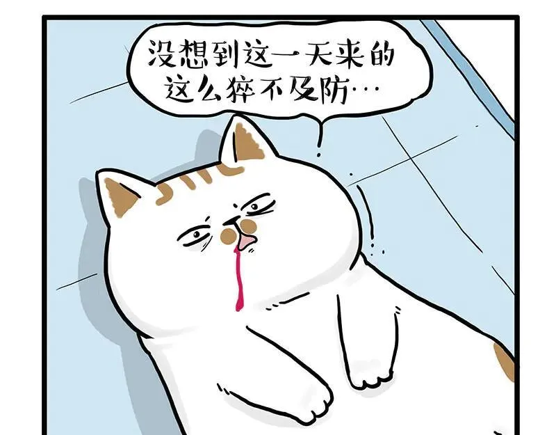 吾皇巴扎黑漫画漫画,第441话 不要出卖老大！1图