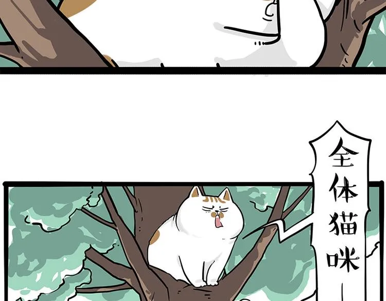 吾皇巴扎黑全集漫画,第271话 进击的流浪猫！1图