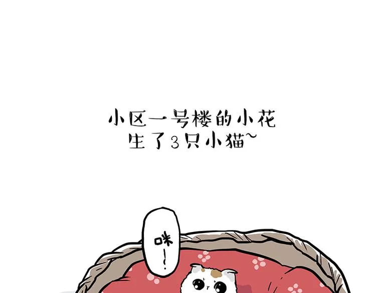 吾皇巴扎黑漫画,第275话 吾皇过生日了1图