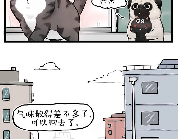 吾皇巴扎黑壁纸漫画,第284话 美喵竟是我自己4图