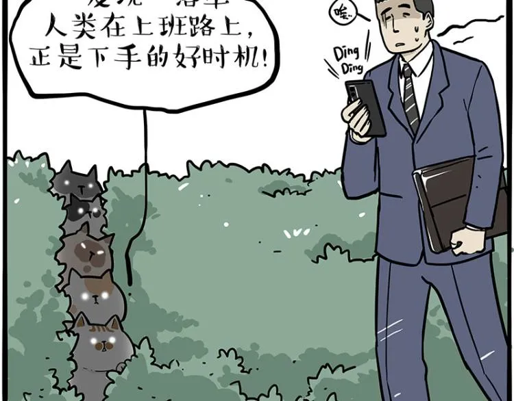 吾皇巴扎黑漫画,第290话 凶恶猫猫组织3图