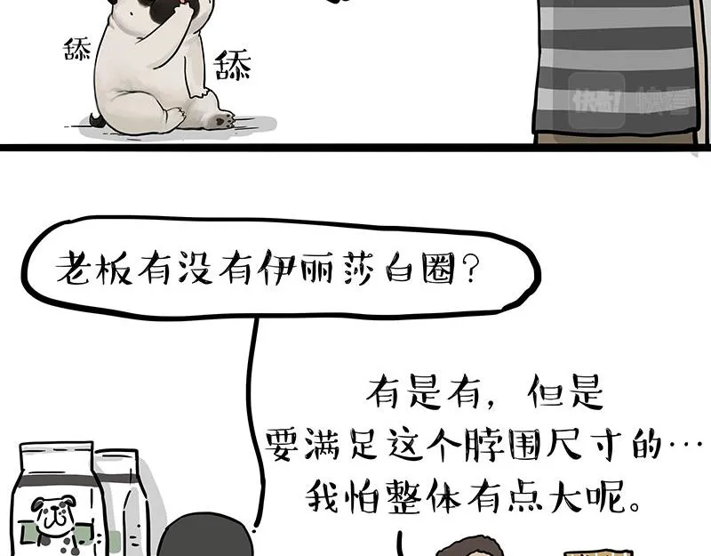 吾皇巴扎黑漫画书漫画,第300话 狗也有文化3图