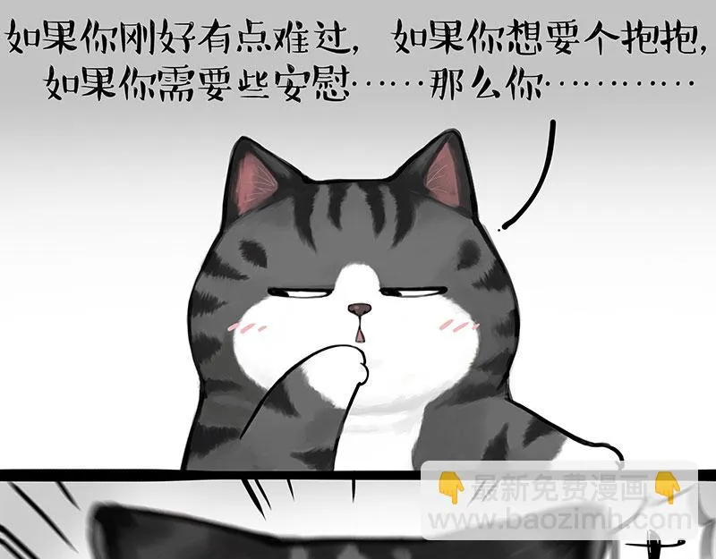 吾皇猫漫画,第362话 去找狗！1图